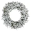 60" Flocked Kiana Artificial Christmas Wreath