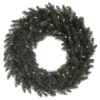 24" Pre-Lit Black Fir Christmas Wreath, Warm White LED Lights