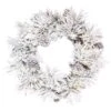 24" Pre-Lit Flocked Atka Christmas Wreath, Warm White LED Lights