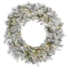 24" Pre-Lit Flocked Kiana Christmas Wreath, Warm White LED Lights