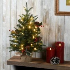 2ft. Pre-Lit Happy Hill Pine Artificial Christmas Tree, Warm White LED Lights -Northlight Sale Store D645001S 2