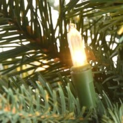 2ft. Pre-Lit Happy Hill Pine Artificial Christmas Tree, Warm White LED Lights -Northlight Sale Store D645001S 3