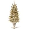 4ft. Pre-Lit Snowy Sheffield Spruce Entrance Artificial Christmas Tree, Twinkly™ LED Lights