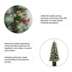 2 Pack 5ft. Pre-Lit Pine Artificial Christmas Porch Tree, Warm White LED Lights -Northlight Sale Store D652277S 7