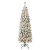 6ft. Pre-Lit Flocked Acacia Pencil Artificial Christmas Tree, Clear Lights