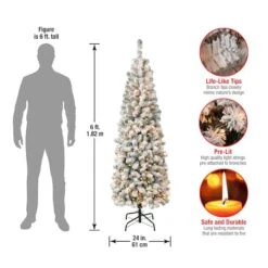 6ft. Pre-Lit Flocked Acacia Pencil Artificial Christmas Tree, Clear Lights -Northlight Sale Store D671892S 14