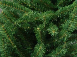 Northlight 8ft. Unlit Commercial Size Green Pine Artificial Christmas Archway -Northlight Sale Store D676280S 2