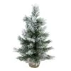 Northlight 18" Unlit Flocked Pine Artificial Christmas Tree In Burlap Base