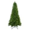 Northlight 10ft. Pre-Lit Everett Pine Artificial Christmas Tree, Clear Lights