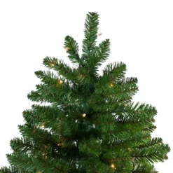 Northlight 10ft. Pre-Lit Everett Pine Artificial Christmas Tree, Clear Lights -Northlight Sale Store D676652S 4