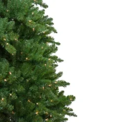Northlight 10ft. Pre-Lit Everett Pine Artificial Christmas Tree, Clear Lights -Northlight Sale Store D676652S 5