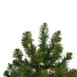 Northlight 2ft. Pre-Lit Canadian Pine Artificial Christmas Tree, Clear Lights 23 Northlight 2ft. Pre-Lit Canadian Pine Artificial Christmas Tree, Clear Lights -Northlight Sale Store D676654S 14