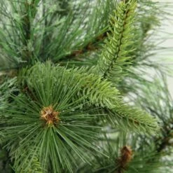 Northlight 3ft. Unlit Full Ashcroft Cashmere Pine Artificial Christmas Tree 8 Northlight 3ft. Unlit Full Ashcroft Cashmere Pine Artificial Christmas Tree -Northlight Sale Store D676683S 2