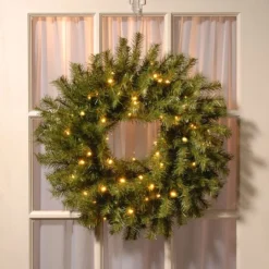 24" LED Norwood Fir Wreath -Northlight Sale Store D677556S 2