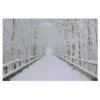 Northlight Winter Wooden Bridge Fiber Optic Lighted Canvas Wall Art