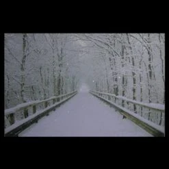 Northlight Winter Wooden Bridge Fiber Optic Lighted Canvas Wall Art -Northlight Sale Store M20007883 3