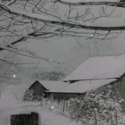 Northlight Snowy Winter Cabin Fiber Optic Lighted Canvas Wall Art 6 Northlight Snowy Winter Cabin Fiber Optic Lighted Canvas Wall Art -Northlight Sale Store M20007884 2